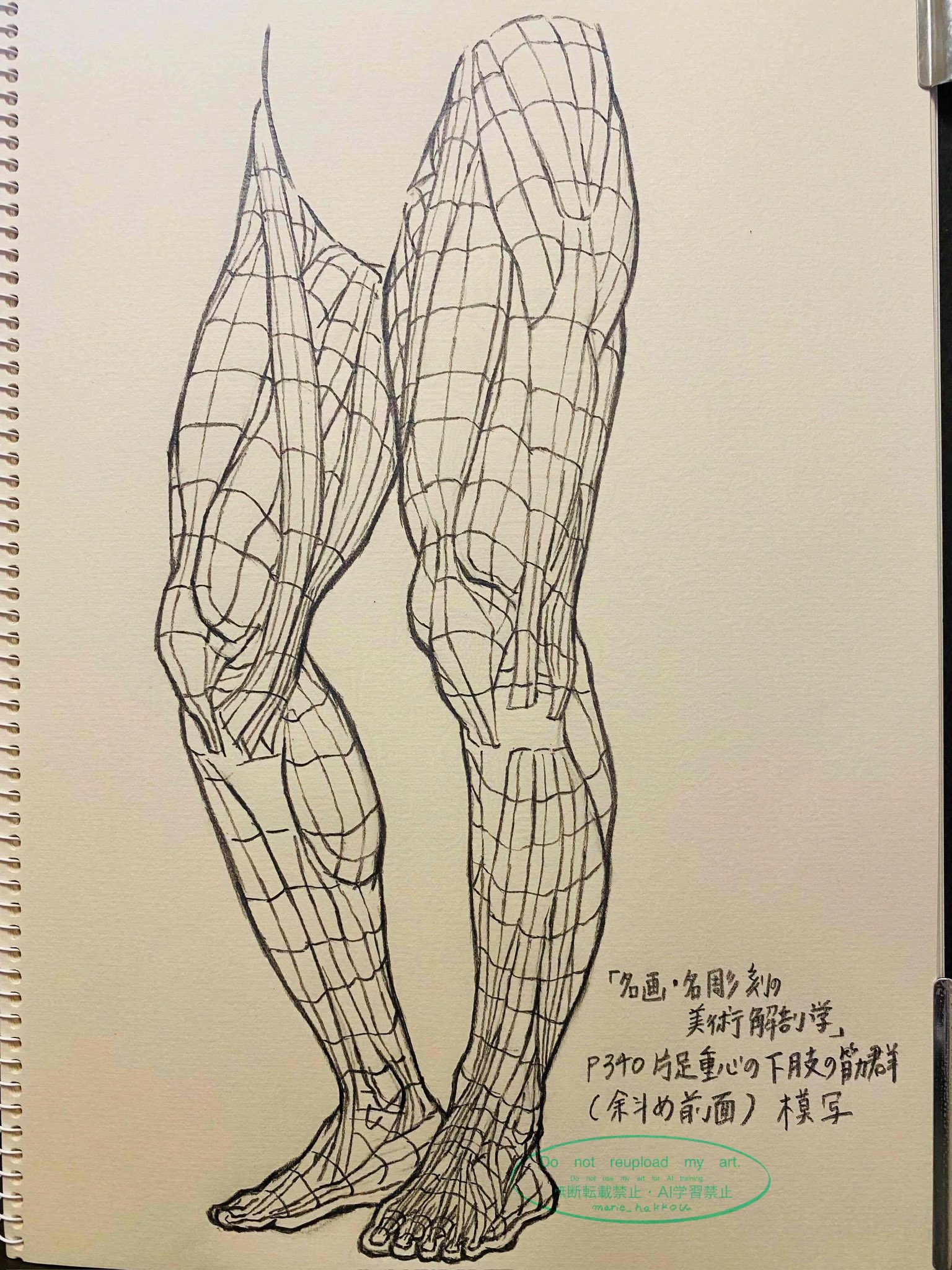 he image shows a detailed anatomical drawing of a pair of human legs, rendered in pencil. the drawing meticulously depicts the underlying musculature, using a grid system to map out the various muscle groups. the style is realistic and academic, suggesting a focus on precise anatomical representation. the legs are shown from a slightly angled frontal perspective, emphasizing the threedimensional form of the muscles. in the lower right corner, japanese text provides information about the source of the image, possibly indicating it's a copy of an illustration from a book on anatomical art. the overall impression is one of a careful and precise anatomical study.