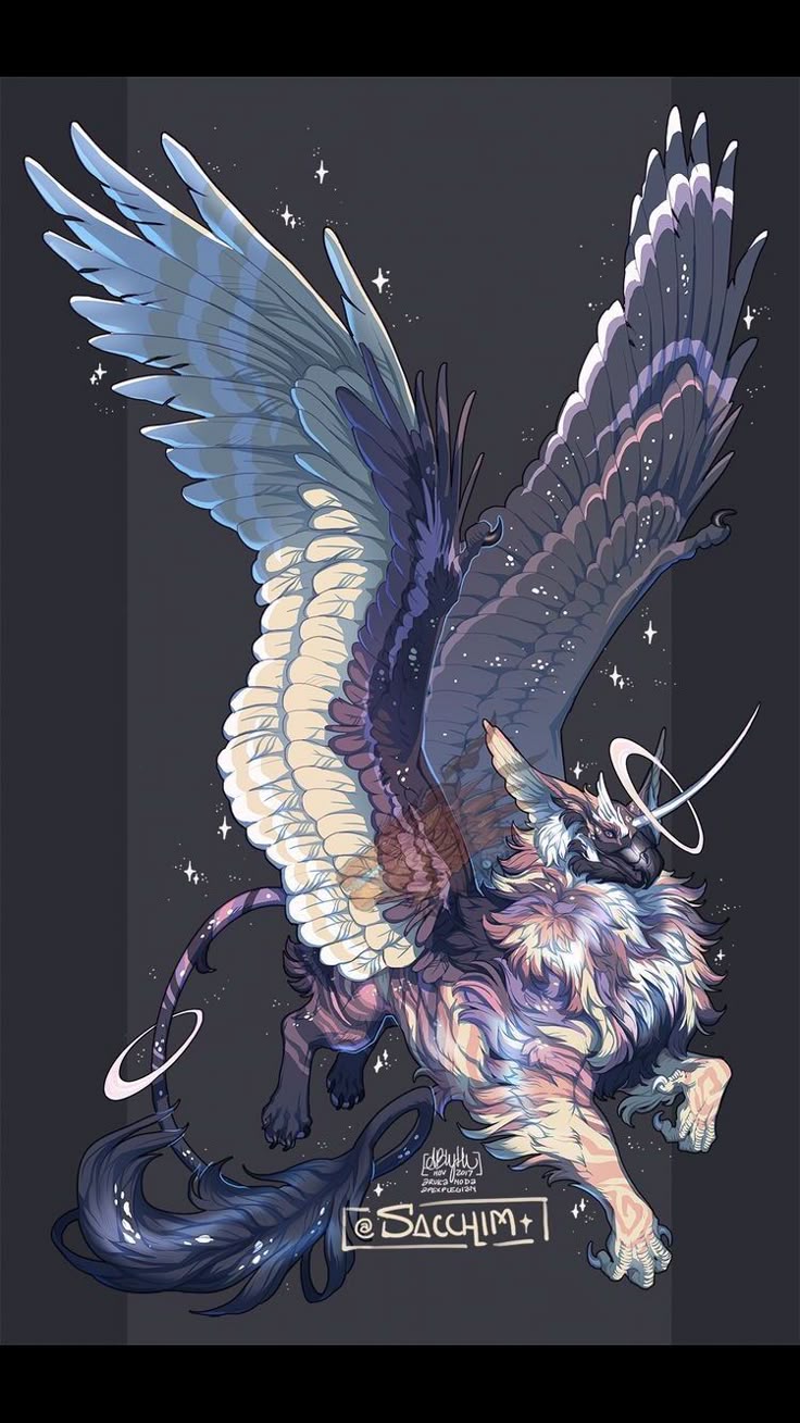 the image depicts a digitally drawn illustration of a gryphonlike creature with large, detailed wings and a halo. the gryphon's fur has a blend of light and dark shades, while the wings showcase a gradient of colors, with some feathers appearing light blue and others dark purple with starry accents. the creature has feline features and is surrounded by small, scattered stars. the artist's signature, "@sacchim," is visible at the bottom.