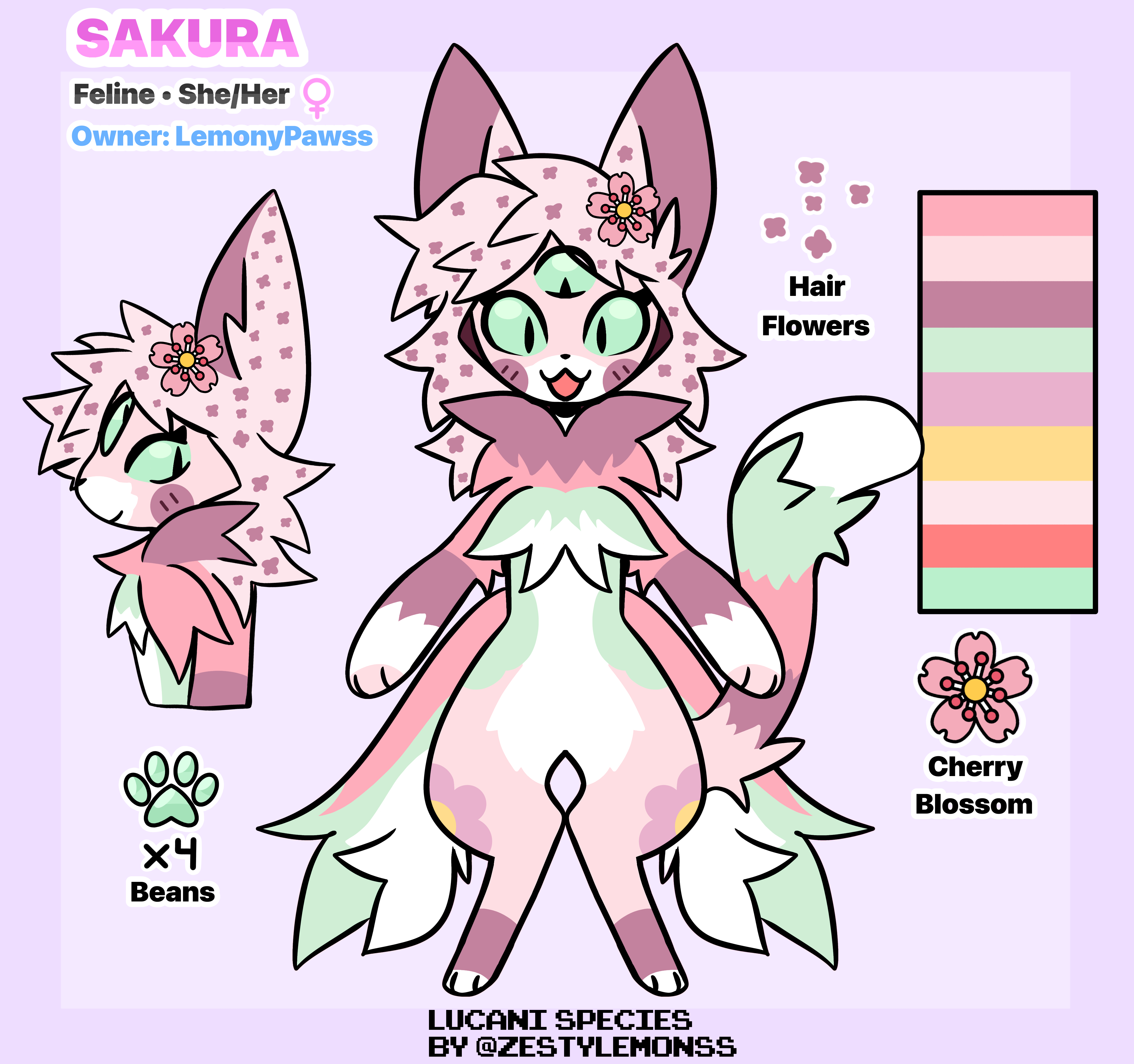 this image is a character design for a catlike creature named "sakura". sakura has a pink, white, and green color scheme with cherry blossoms on her body. her tail is long and fluffy and she has green eyes and a cute pink nose. she is sitting in a playful pose and is labeled as "feline", "she/her" and "owner: lemonypawss". this image is labeled with keywords: "cherry blossom", "hair", "flowers", "x4 beans" and "cherry blossom" to provide information on the character's details. the image also includes a text box at the bottom with the phrase "lucani species by @zestylemonss" which suggests that sakura is a member of a fictional species called "lucani". overall, this image is a visually appealing and charming depiction of a cute and creative character.