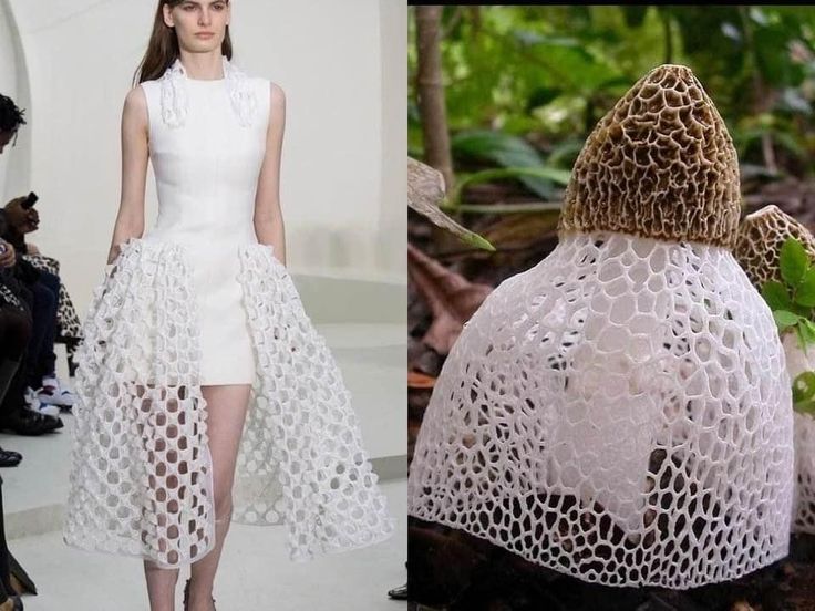 the image shows a fashion model wearing a white dress with a lace overlay, and a closeup shot of a white, lacy mushroom with a brown top. the lace pattern on the dress is very similar to the lace pattern on the mushroom, highlighting the natural inspiration for the design. this comparison illustrates the way in which nature can inspire creativity and innovation in fashion.