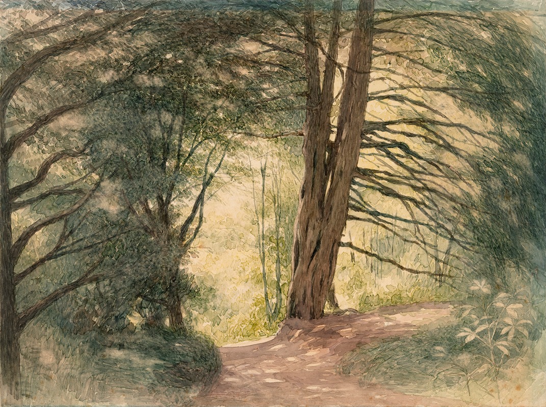 a watercolor painting depicts a forest scene with a path winding through the trees. sunlight filters through the dense foliage, casting shadows on the ground. the path is surrounded by greenery and undergrowth, creating a natural and tranquil landscape.