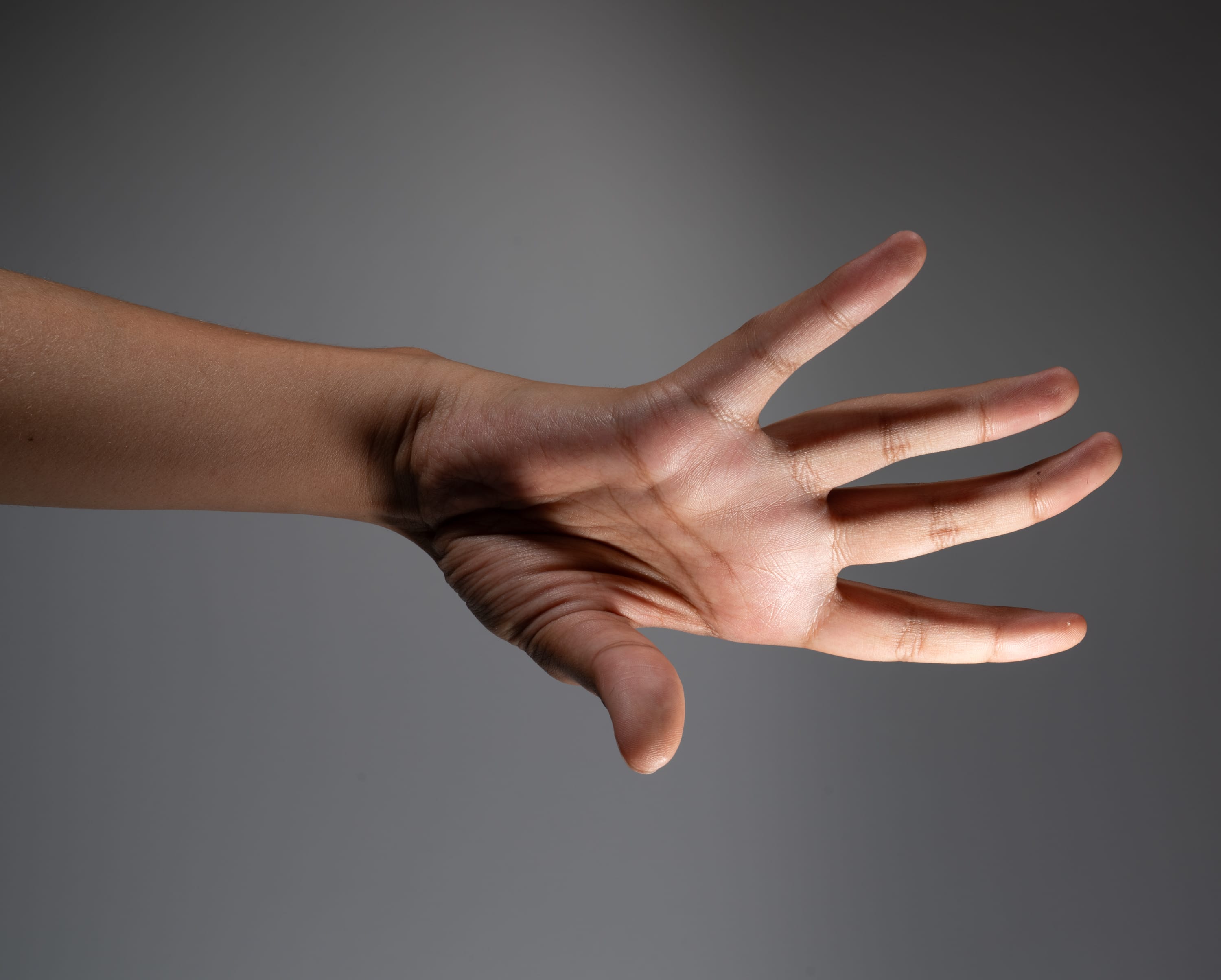the image shows a hand with an open palm, its fingers outstretched, against a neutral gray background. the hand is subtly illuminated, highlighting its texture and the delicate play of light and shadow.