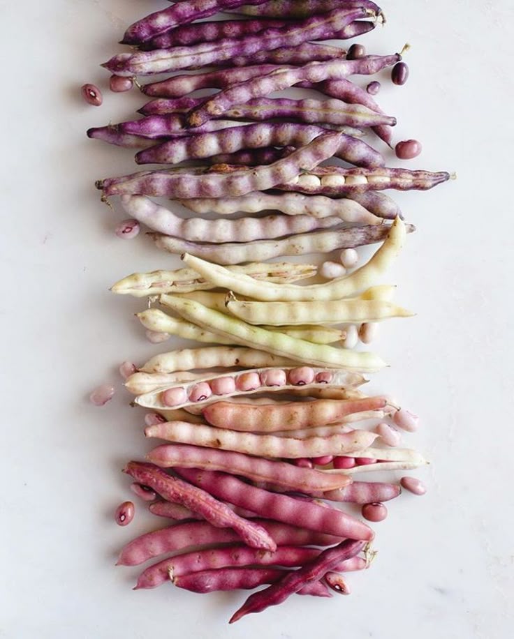 a vertical arrangement of beans in various colors, ranging from purple to white to pink. the beans are in their pods, some are closed and some are open, revealing the seeds inside. the color gradient creates a visually appealing effect. the beans are likely freshly harvested and arranged for display.