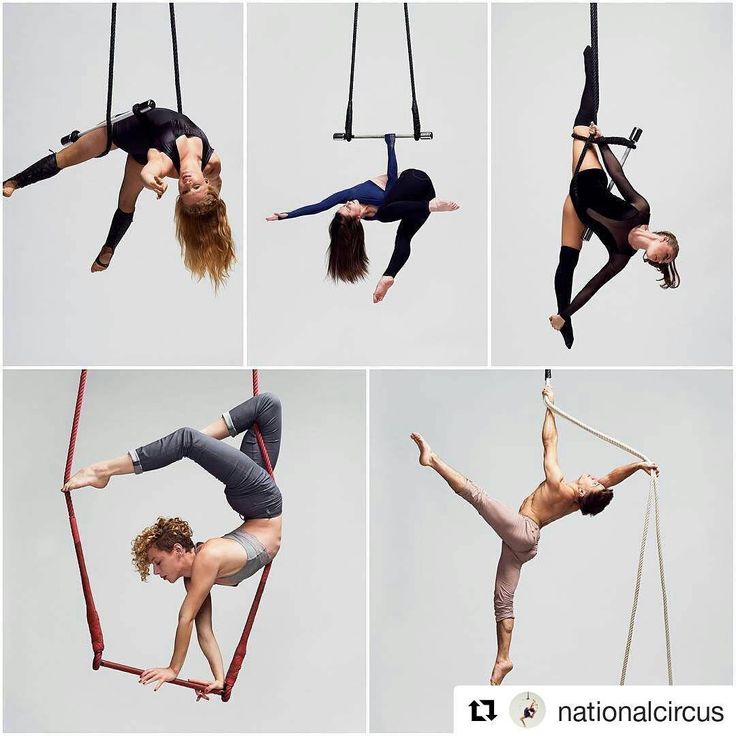 this image showcases the dynamic world of aerial arts. it features four individuals performing impressive feats of strength, flexibility, and artistry on different aerial apparatuses. the top left image depicts a woman gracefully suspended on a trapeze, her body contorted in a challenging pose. in the top middle, another woman performs a similar act, demonstrating remarkable control and balance. the top right image showcases a woman suspended on aerial silks, showcasing her incredible flexibility and control. the bottom left image features a woman performing on aerial silks, demonstrating advanced strength and control. the bottom right image features a man performing on a trapeze, demonstrating remarkable balance and strength.  the image highlights the beauty and athleticism of aerial arts, and the diverse ways in which individuals can utilize their bodies to create stunning, aweinspiring performances.