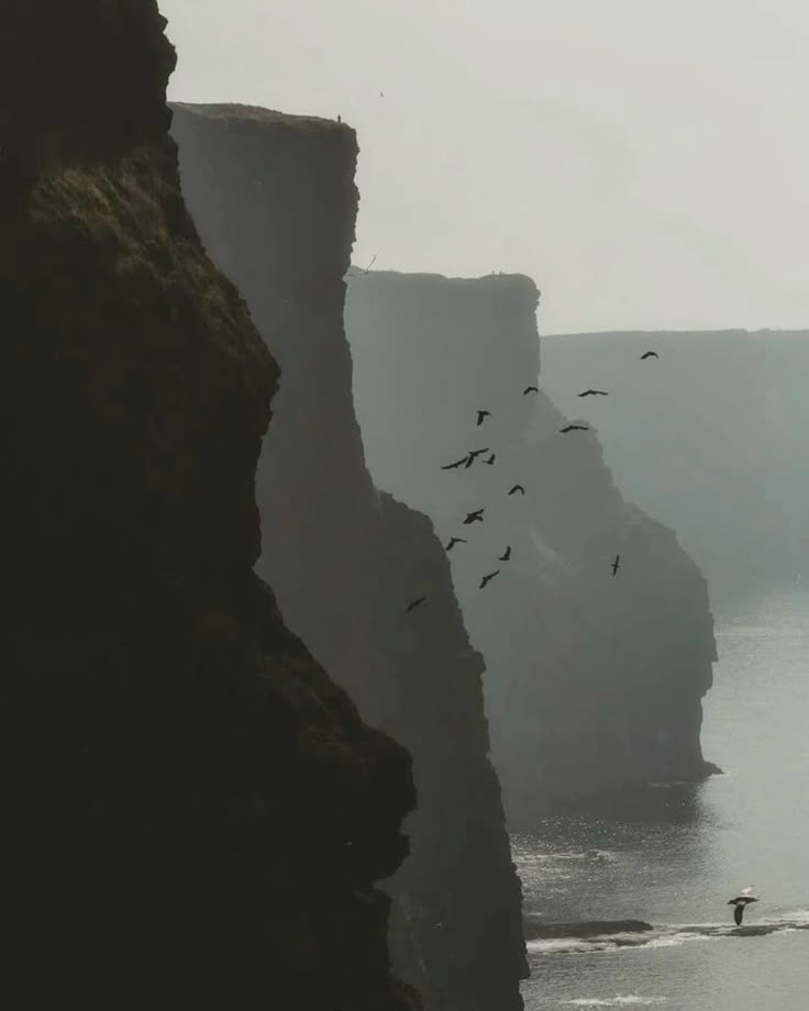 the image shows the cliffs of moher in ireland on an overcast day. the cliffs are tall and dramatic, with a flock of birds flying near them. the ocean is visible at the bottom of the cliffs, and a person with an umbrella can be seen on the rocks near the water. the scene is misty and foggy.