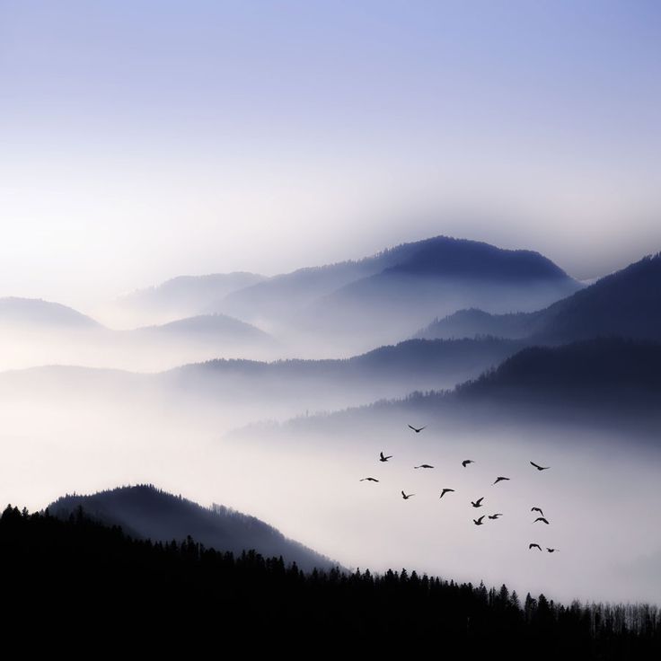 a serene landscape of rolling hills cloaked in fog and mist. the sky is a soft blue with wispy clouds.  a flock of birds fly in formation against the backdrop of the mountains.  the scene is peaceful and tranquil.
