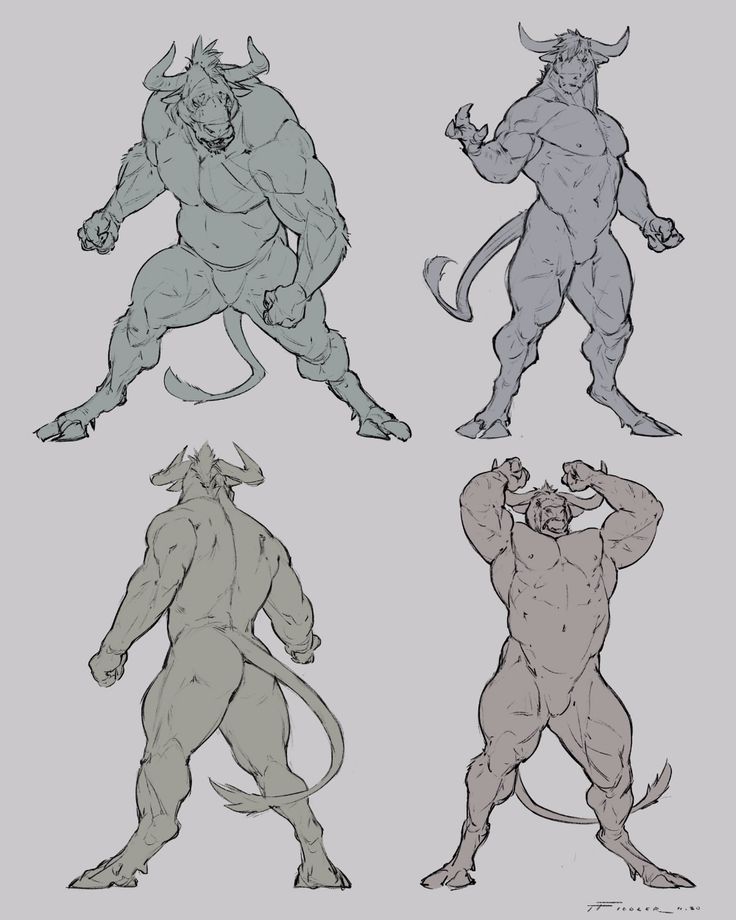 the image shows four sketches of a muscular, anthropomorphic minotaur character in various poses. the minotaur has a bull's head with horns, a humanlike body, and a tail. the sketches vary in perspective and pose.
