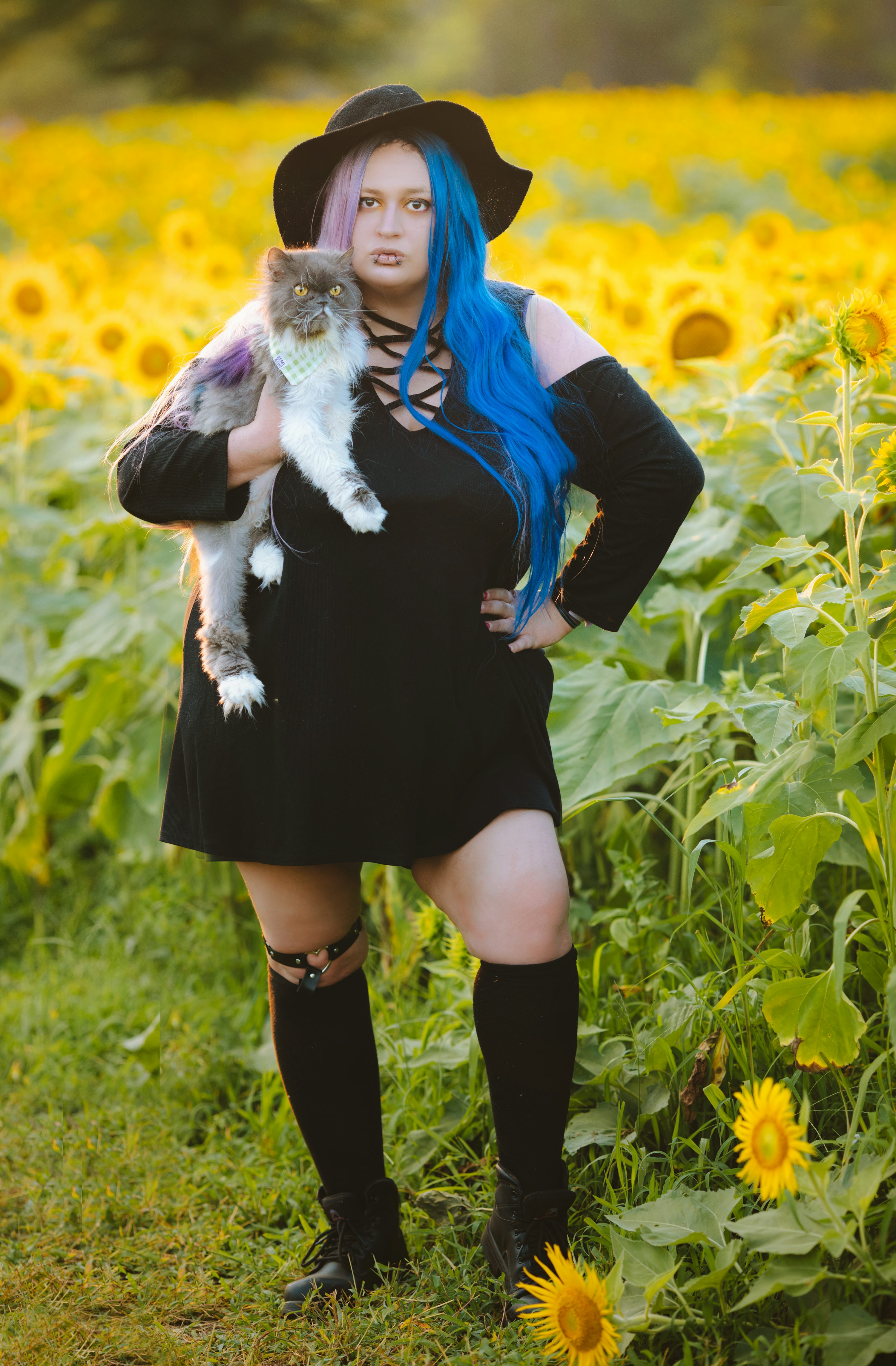 a plussize woman with blue hair and a black witch hat is standing in a sunflower field. she is wearing a black dress and holding a gray persian cat. the woman appears confident and happy.