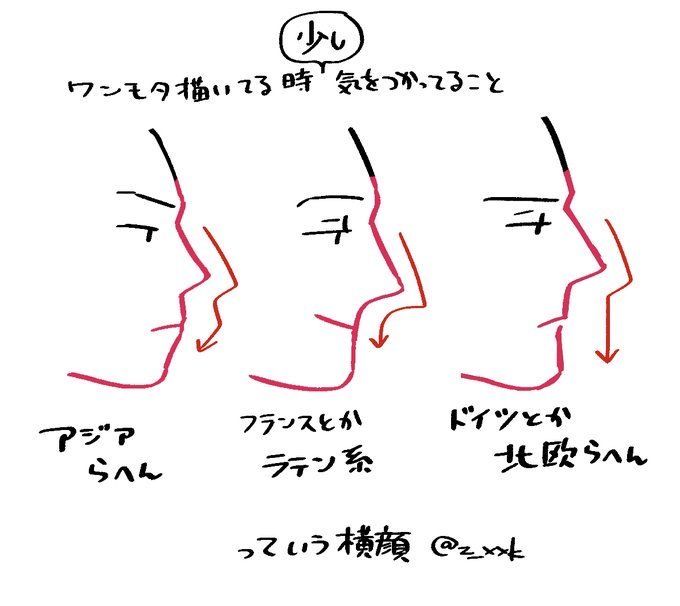 the image depicts three side profiles of people, with different nose shapes. underneath each profile is a label indicating the cultural origin of the nose shape: asian, french, and nordic. the image is handdrawn with a black pen, and the nose shape is indicated by red arrows. the image suggests that different cultures have different nose shapes.