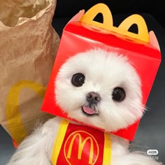 a small white puppy dressed in a mcdonald's costume, wearing a red and yellow box hat and a yellow bib with a mcdonald's logo on it. the dog is looking up with a happy expression, and its tongue is sticking out.  the pup is standing on a brown paper bag with a mcdonald's logo on it.
