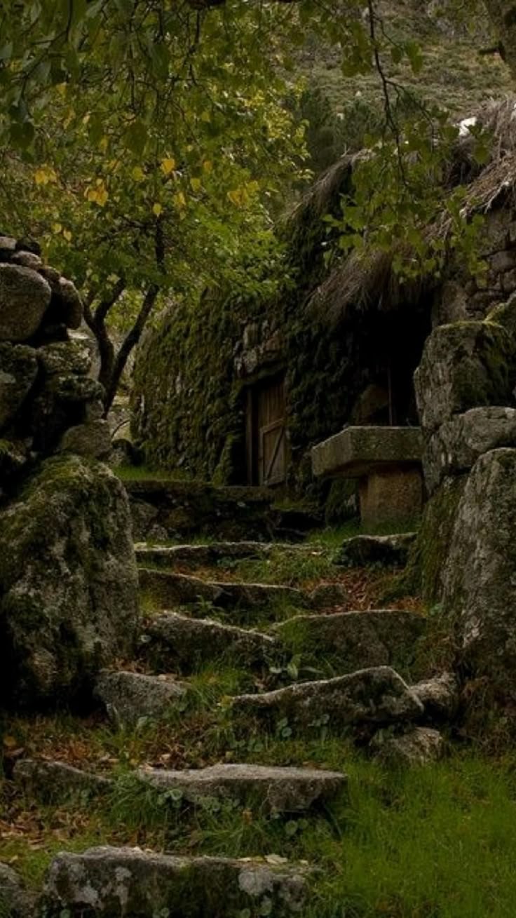 a stone staircase covered in moss leads up to a rustic stone house built into a hillside. the house is nestled among trees and greenery, creating a scene of natural beauty and oldworld charm.