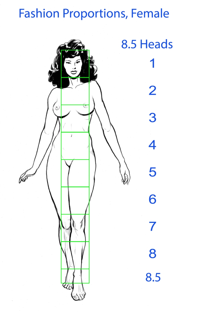 he image is a fashion illustration showing the ideal proportions of a female figure based on head measurements.  the figure is divided into sections, each representing one head unit in height. the total height is 8.5 heads.  the numbers on the right side correlate to each section of the body, starting from the head and extending to the feet. the illustration provides a visual guide for artists and designers who want to create wellproportioned figures.