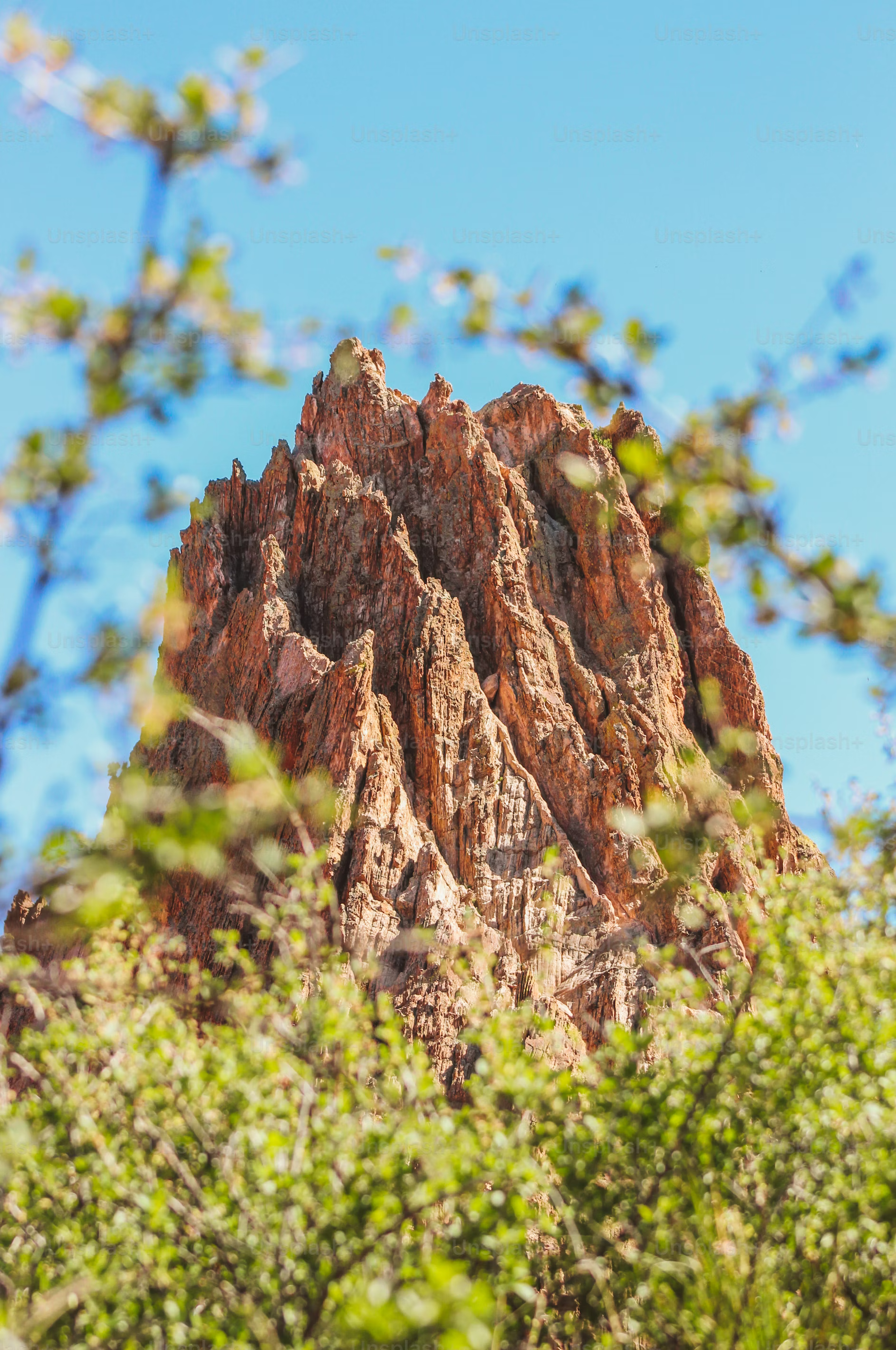 the image shows a large, rocky mountain peak partially obscured by out of focus plants and branches in the foreground. the mountain is brown and orange in color, with a rough, jagged texture. the plants in the foreground are green and leafy, and the sky in the background is a clear blue. the lighting is natural and sunny, and the overall impression is of a warm and inviting day in a natural setting.