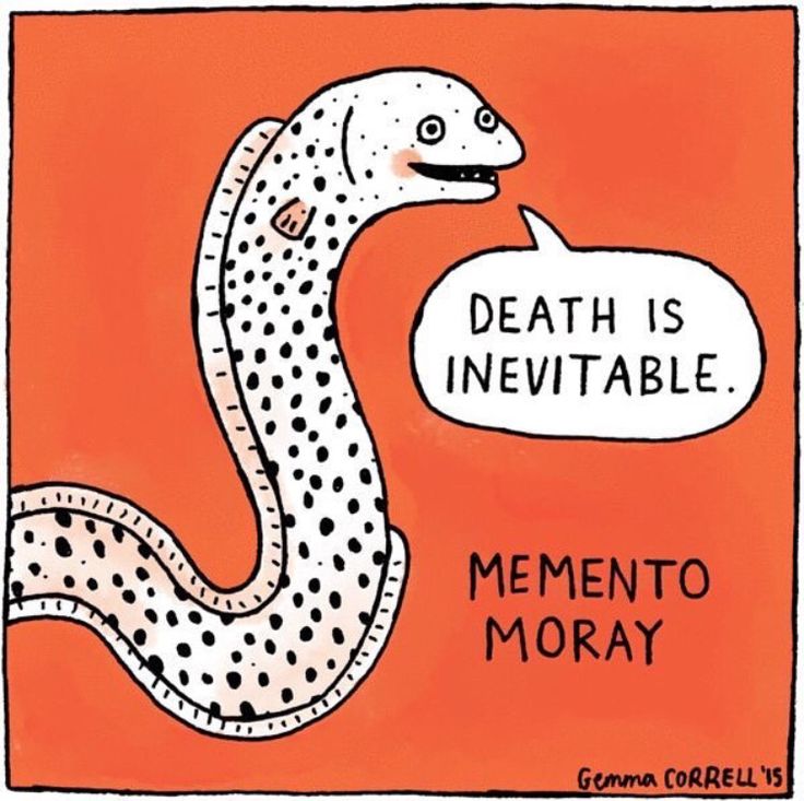 a cartoon image shows a moray eel on an orange background. the eel is white with black spots and has a speech bubble that says "death is inevitable." below the eel, the text "memento moray" is written. the artist's signature, "gemma correll '15," is located in the bottom right corner of the image.