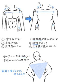 the image consists of several handdrawn sketches illustrating how to draw a muscular male torso. it provides a stepbystep comparison, highlighting the difference between a figure without defined muscles and one with emphasized musculature. key muscle groups like the trapezius, shoulder, and latissimus dorsi are marked and labeled, explaining their impact on the overall silhouette. the instructions, written in japanese, emphasize the importance of these muscle groups in portraying a masculine physique, even without detailed rendering.