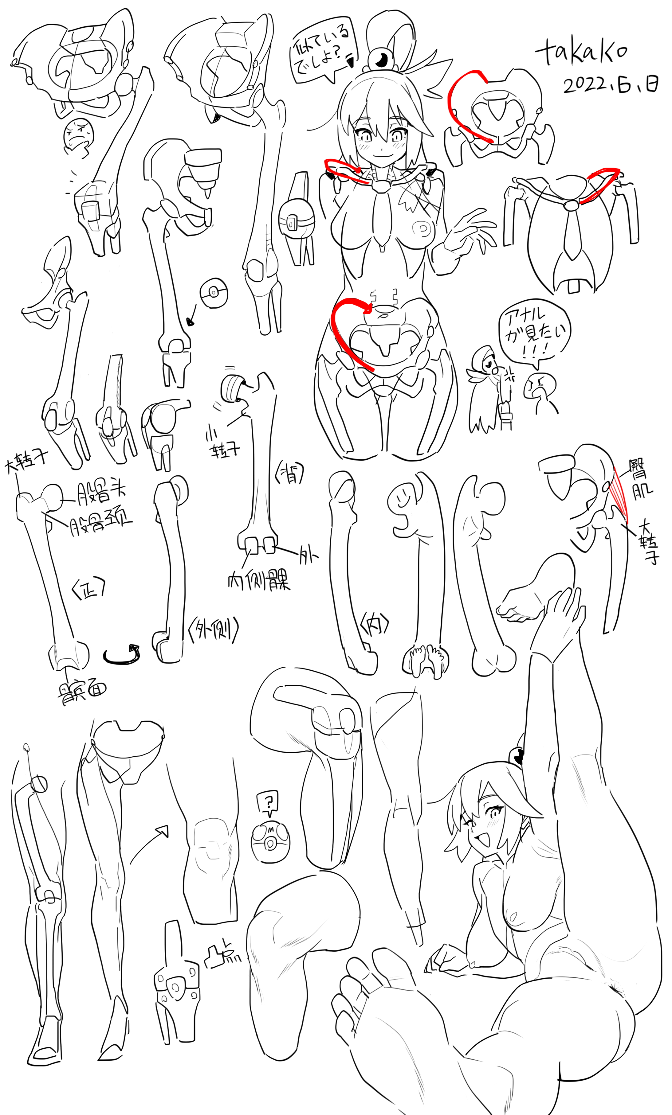 this is a black and white drawing featuring anime style illustrations of the human skeletal system, with a focus on the pelvis and femur. there are multiple isolated bone structures detailed, along with a character with an anime aesthetic partially overlaid with the skeletal anatomy. the image also contains japanese text.
