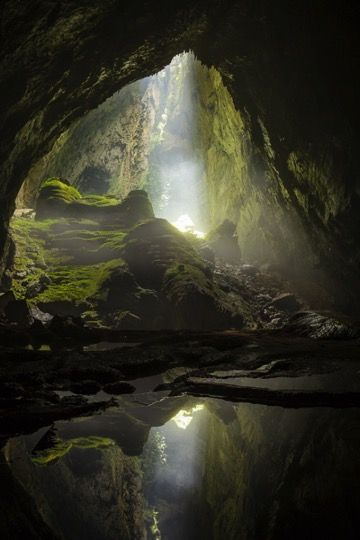 a shot looking down into a cave, with a pool of water in the foreground reflecting the light shining through the cave entrance. the cave walls are covered in moss and are lit up by the sunlight, casting long shadows.  there are rocks and fallen foliage scattered throughout the cave floor.