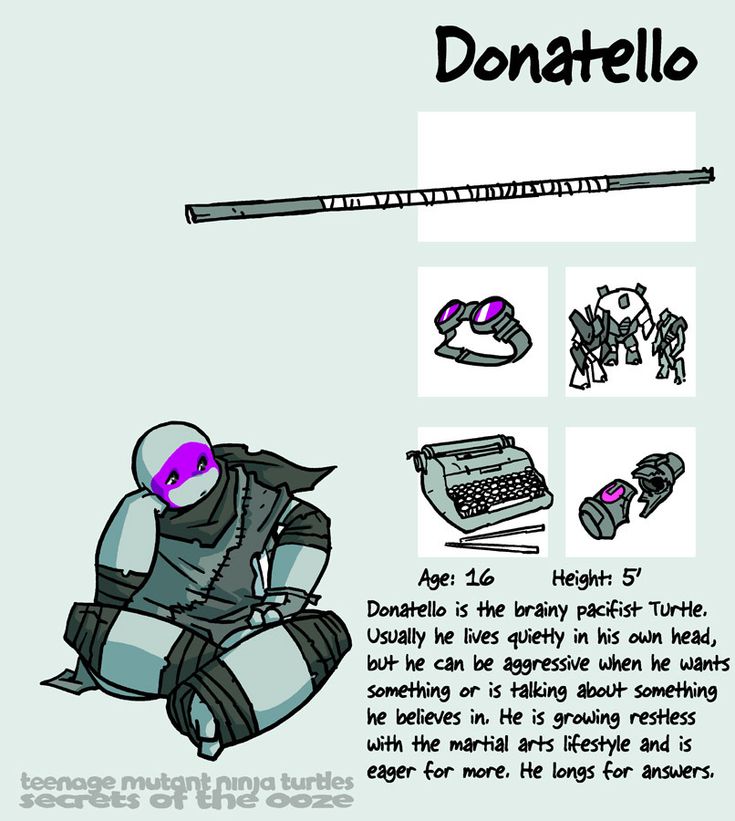 this image is a character profile for donatello from the teenage mutant ninja turtles franchise. it features an illustration of donatello sitting with his bo staff, a typewriter, goggles, and a closeup of his purple headband.  it also lists his age and height and a short description of his character.