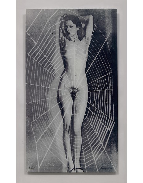 the image is a black and white photomontage or collage.  it features a nude female figure standing with her arms raised behind her head. a large, intricate spiderweb is overlaid onto the figure, seemingly encompassing her entire body. the contrast between the smooth curves of the woman’s body and the sharp lines of the web creates a visually striking effect. the overall aesthetic is dark, slightly surreal, and suggestive of themes of entrapment or vulnerability. the image appears to be a fine art print, possibly a reproduction of an original artwork.