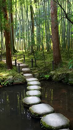 a serene forest scene with a mossy path leading through a tranquil pond. the path is made of stepping stones that lead the viewer through the lush greenery. the dense bamboo forest creates a sense of peace and tranquility, while the pond reflects the surrounding nature. the scene is perfect for a moment of quiet reflection and contemplation.