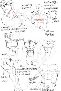 this image shows several sketches of a muscular male torso. the sketches are accompanied by japanese text which likely describes anatomical details. the drawings seem to focus on the pectoral muscles, showcasing different ways to depict them.