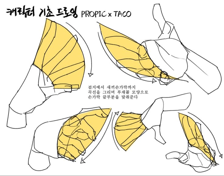 the image depicts a tutorial or diagram showing different hand gestures in a stylized drawing style. the hands are outlined in black, with internal lines indicating shape and volume, and yellow fills highlighting sections within the hand. the top text includes the text "캐릭터 기초 드로잉 propic x taco" which translates roughly to "character basic drawing propic x taco." there are also textual instructions in korean for how to draw the hands. arrows are used to illustrate movement and the orientation of the hands. the image appears to be a guide for artists learning to draw hands.