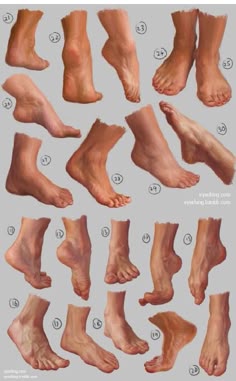 the image is a drawing of multiple feet and legs. the drawing appears to be a reference image for artists as it shows different angles and positions of the feet and legs. the artist has labeled each foot with a number, which could indicate a specific position or pose. the drawing is done in a realistic style and shows a detailed anatomical study of the feet and legs. the image can be used by artists to study the human form and anatomy.
