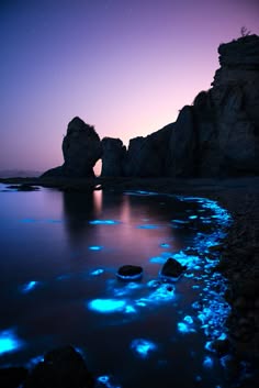 the image showcases a stunning natural phenomenon.  the dark silhouettes of rocky cliffs line the shore of a calm, still body of water, possibly an ocean or sea. the surface of the water is awash with an otherworldly blue glow, created by bioluminescent organisms, likely phytoplankton or algae.  the night sky above is a deep purple, adding to the mystical and magical atmosphere of the scene. the reflection of the cliffs and sky in the water amplifies the beauty of this remarkable display. the composition is captivating, drawing the viewer into the tranquility and wonder of this nocturnal scene.