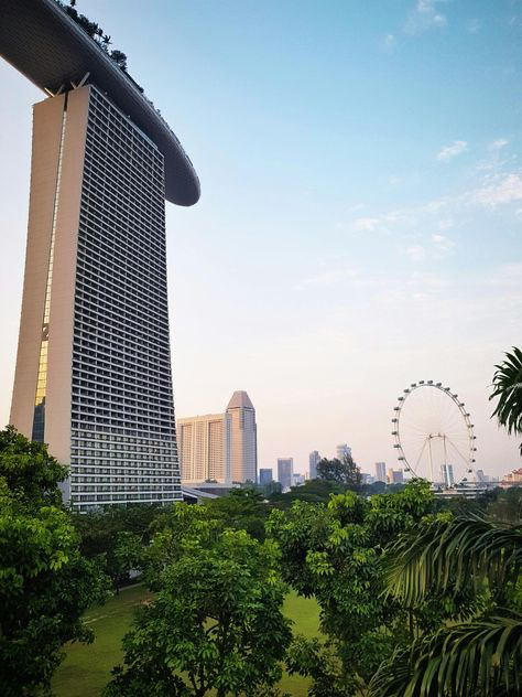 the image is a stunning view of the marina bay sands hotel in singapore.  the iconic hotel, with its distinctive boatshaped rooftop, dominates the foreground.  the photograph is taken from a slightly low angle, emphasizing the hotel's height. in the midground, lush green parkland separates the viewer from other highrise buildings, creating a contrast between nature and urban development. the singapore flyer ferris wheel is visible in the background, providing a further point of reference within the singapore skyline. the sky is a soft, pastel shade suggesting either dawn or dusk.  the overall impression is one of modern architectural splendor set against a backdrop of tropical greenery.
