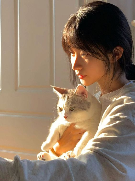 he image features a young woman holding a white and gray cat in her arms. they are both bathed in warm, natural sunlight streaming in from a window, creating a peaceful and intimate atmosphere. the woman is gazing down at the cat with an expression of fondness, highlighting the bond between them. the scene evokes a sense of calm and domesticity.