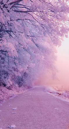 a dreamy, ethereal forest scene with a road winding through it. the trees are covered in a light pink frost, and the air is filled with mist, creating a magical atmosphere.  the soft light filtering through the trees casts a warm glow on the scene, adding to the enchantment.  the image evokes a sense of peace and tranquility.