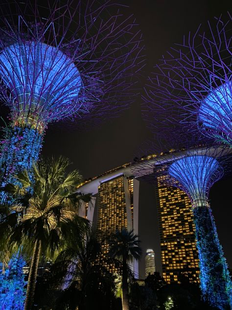 the image is a nighttime shot of the iconic supertrees at gardens by the bay in singapore.  the supertrees are dramatically lit in shades of blue, contrasting with the warm, golden lights illuminating the marina bay sands hotel towers in the background. lush tropical palm trees are visible in the foreground, adding to the vibrant and lush atmosphere of the scene. the overall composition showcases the impressive scale and architectural beauty of both the supertrees and the marina bay sands, highlighting the modern and technologically advanced cityscape of singapore at night.