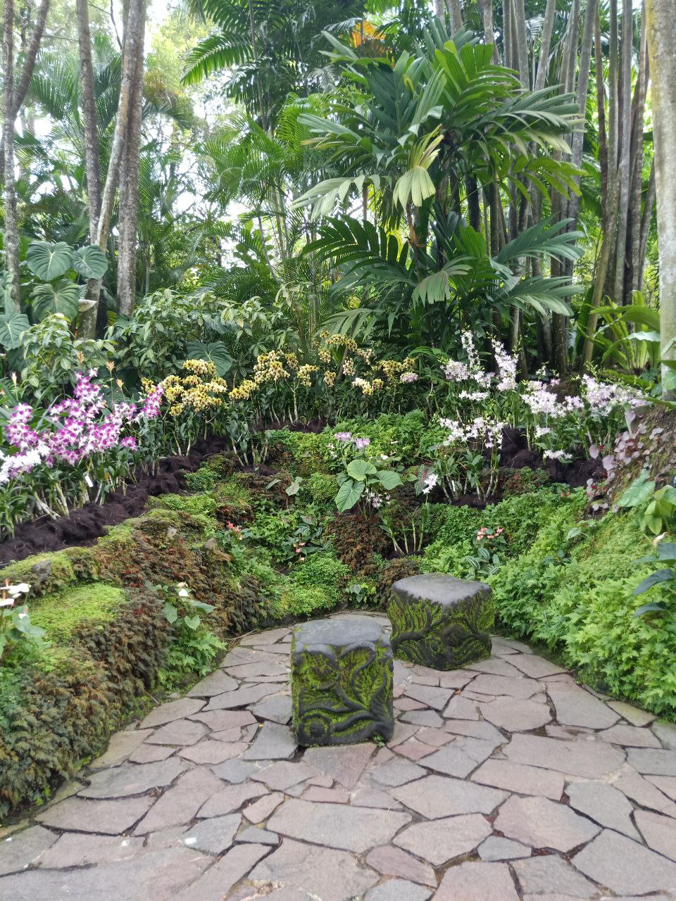 a stone pathway leads through a lush, tropical garden. the path is flanked by steps covered in moss and lush greenery. the pathway leads to two stone benches carved with intricate designs.  the background is filled with vibrant tropical foliage, creating a serene and inviting atmosphere.