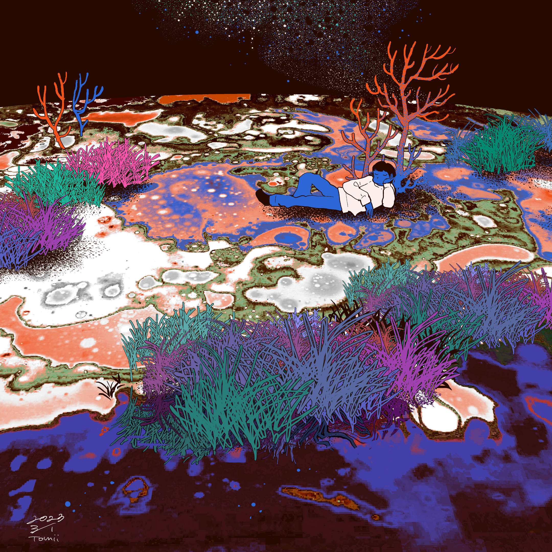 the image presents a surreal and dreamlike landscape, possibly an alien planet or a fantastical dreamscape. a person in blue trousers and a white shirt lies reclined on a mottled surface, seemingly sleeping or resting amidst strange, vibrant flora. the landscape is a complex interplay of colors and textures, with patches of orange, blue, purple, and green suggesting water or other fluid elements.  intricate plant life, reminiscent of coral and terrestrial grasses in unusual color combinations, surrounds the figure.  above, a dark night sky speckled with stars adds to the otherworldly feel. the overall style is highly stylized and artistic, suggesting digital painting or illustration, with a signature "tomii" visible in the bottomleft corner, possibly indicating the artist. the scene evokes a feeling of calm, yet the strangeness of the setting leaves the viewer questioning the nature of the place and the figure's presence.