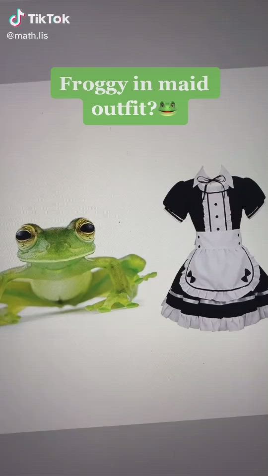 a green frog in a maid outfit is looking at the camera while a maid outfit is placed next to it. the background is plain white with a light grey section at the bottom. there is a  tiktok logo in the top left corner of the image.  above the frog, the words "froggy in maid outfit?" are written in black lettering on a green rectangle.  the words are accompanied by a smiley face emoji with a green frog inside.