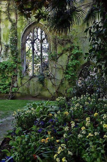 the image shows a gothic building ruin overgrown with ivy, vines, and moss. there is a large arched window in the building, letting light into the interior. in front of the ruin is a garden filled with lush green plants and colorful flowers, creating a peaceful and serene atmosphere. trees and other foliage surround the structure, enhancing the natural beauty of the scene.