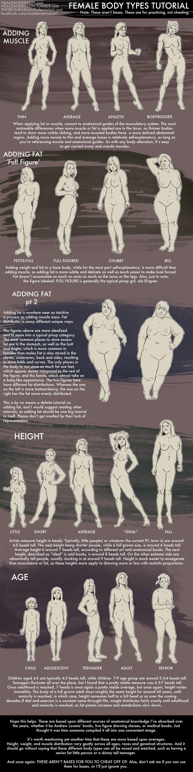 the image is a tutorial showcasing different female body types based on various factors such as muscle mass, fat distribution, height, and age. it illustrates these variations through a series of figures, labeled with terms like "skinny," "average," "athletic," and "bodybuilder" for muscle; "full figured," "chubby," and "big" for fat; "little," "short," "average," and "tall" for height; and "child," "adolescent," "teenager," "adult," and "senior" for age. the tutorial provides descriptions and observations about how these factors influence body shape and proportions.