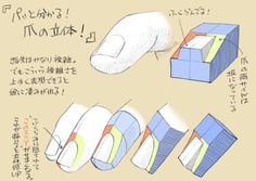 he image is a handdrawn tutorial in japanese about how to draw fingernails in a more threedimensional and realistic way. it breaks down the nail into different sections and layers, showing how each part overlaps and contributes to the overall shape. the use of color coding further clarifies the different parts of the nail and how they fit together.