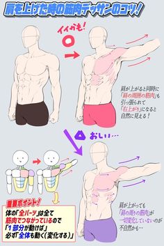 the image is an instructional diagram for artists on how to draw a male figure with raised shoulders. it highlights common mistakes and provides tips for achieving a more natural look. the diagram is in japanese and features three main illustrations of the male torso: one with shoulders down, one with shoulders raised incorrectly, and one with shoulders raised correctly. the correct illustration emphasizes the importance of depicting the stretching and movement of muscles around the shoulder and chest area when the arm is raised.  smaller skeletal figures further illustrate the concept of interconnected movement.