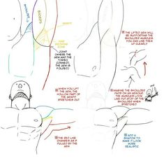 this image shows a tutorial on how to draw arm muscles from different angles. it highlights the muscles, bones, and tendons in different arm positions. there are annotations throughout to guide the viewer in their drawing practice.