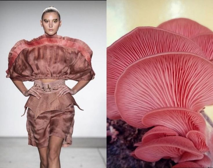 a fashion model wearing a pink dress with pleated sleeves and a skirt that looks like an oyster mushroom, standing on a runway. on the right is a closeup of a cluster of oyster mushrooms, showcasing their beautiful pink gills and textured surface. the image contrasts the human form with the natural world, highlighting the inspiration drawn from nature in fashion design.