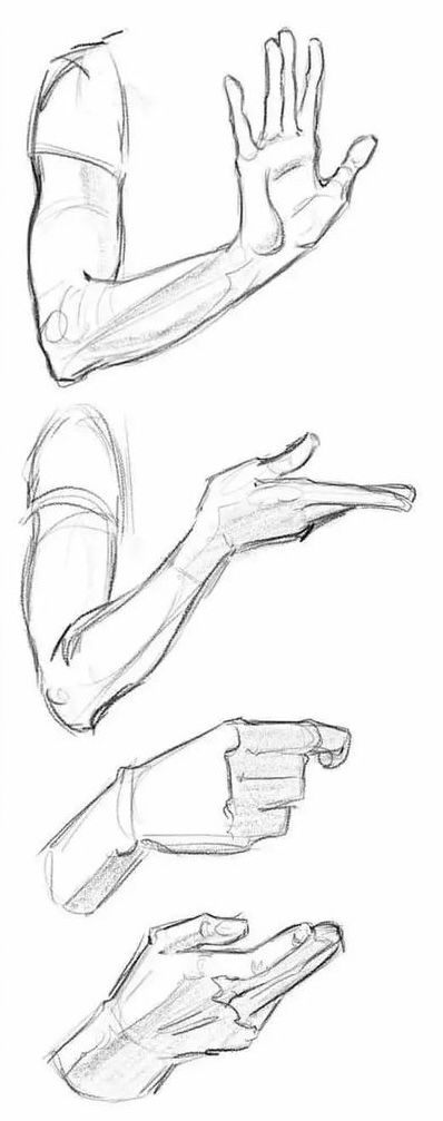 the image shows a sketch of arms and hands in various poses, showcasing different hand gestures and arm positions. the sketches are detailed and focus on anatomical structure.