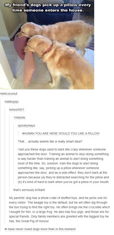 the image shows a humorous tumblr post about a dog that brings a pillow to people when they enter the house. the post explains that this behavior is a result of positive reinforcement, as the dog is rewarded for picking up the pillow. the post also includes a humorous story about the dog's other toys and how he chooses which one to give to each visitor.
