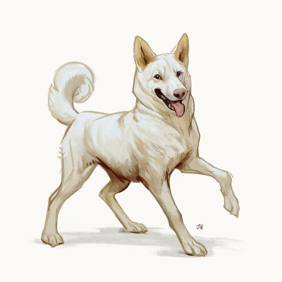 the image showcases a white dog with a thick coat and a bushy tail, captured midstride with a cheerful expression. the dog's tongue playfully hangs out, suggesting a joyful demeanor. the background is intentionally minimalistic, directing the viewer's focus solely on the canine subject.