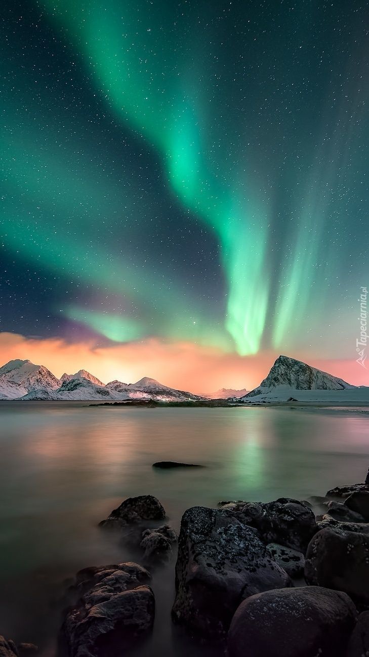 a stunning image of the aurora borealis over a body of water with rocks in the foreground and snowcapped mountains in the background. the sky is filled with stars and the aurora displays vibrant green hues. the water is calm and reflects the colors of the sky.