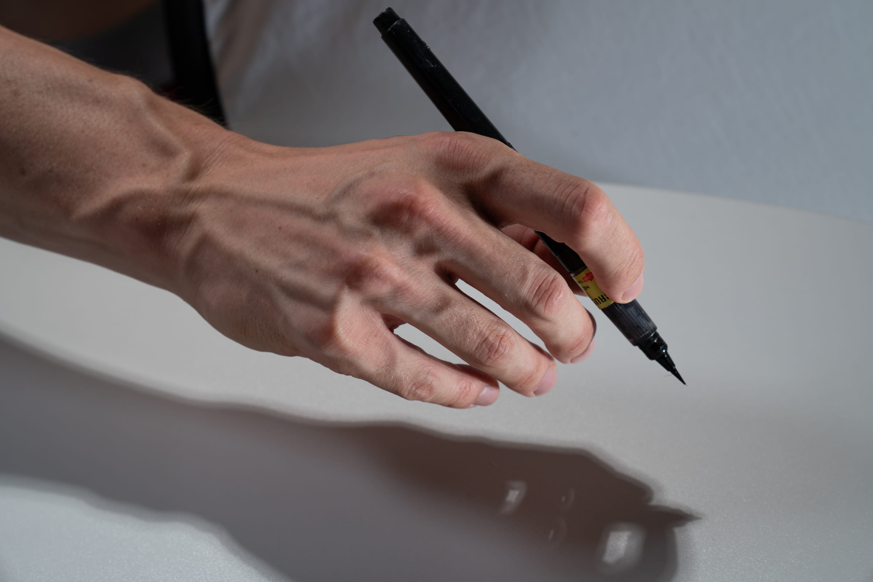 the image features a fairskinned hand gracefully holding a black brush pen, poised above a white surface.  strong natural light casts a dramatic shadow of the hand and pen, adding a sense of artistry and movement. the veins on the hand are prominent, highlighting the human element. the scene suggests a moment of creativity, perhaps calligraphy or drawing, about to unfold.