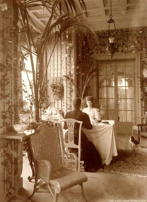the sepiatoned photograph depicts a sunroom or conservatory within a palatial setting, likely at tsarskoye selo's alexander palace.  two women, possibly grand duchesses olga and tatiana nikolaevna (though identification is not definitively possible from the image alone), sit at a tea table laden with a tablecloth.  they are dressed in elegant gowns typical of the early 20th century.  luxurious elements are visible:  lush indoor plants, including tall palm trees, adorn the room, along with ornate wall decorations and wicker furniture. a japanese spaniel dog sits on the floor observing the scene. the overall ambiance is one of opulence and tranquility, suggesting a scene from the life of the russian imperial family. the image’s quality suggests it is a vintage photograph from that era.