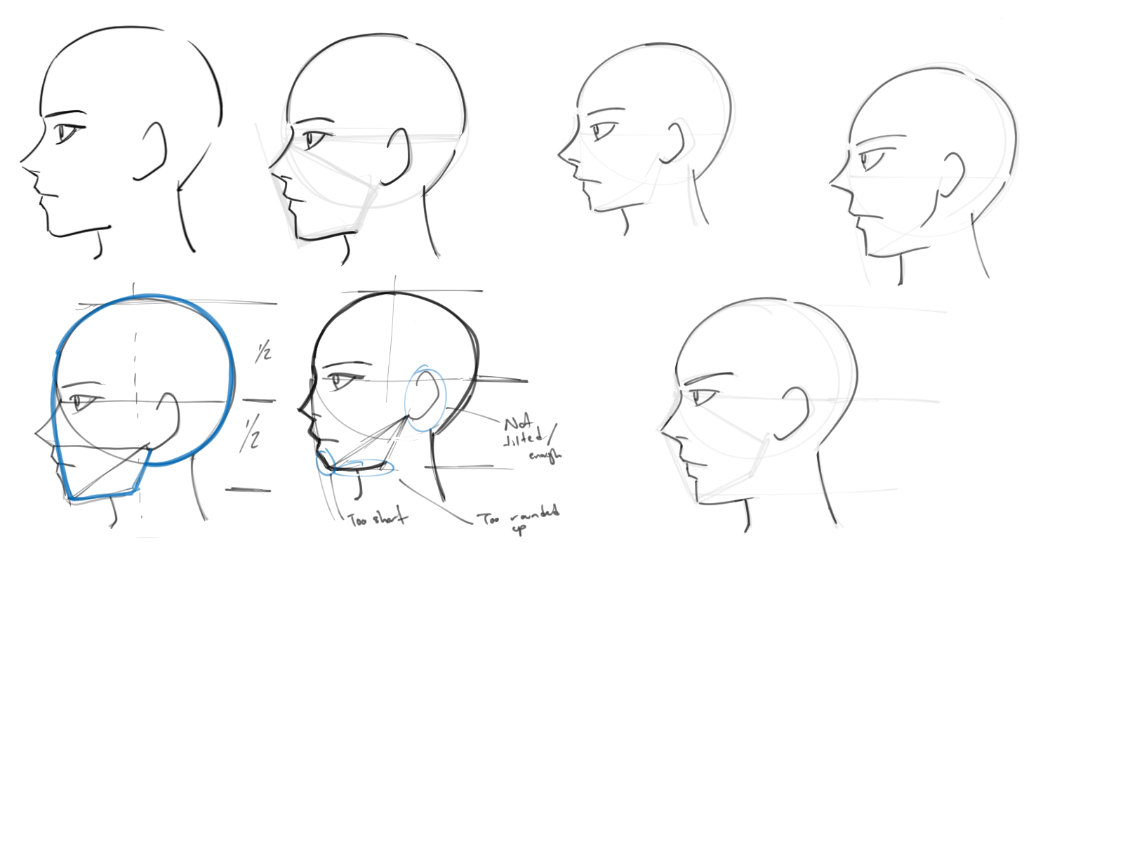 the image contains several sketches showing the construction and proportions of a face in profile, illustrating a stepbystep guide or different variations. the sketches progress from basic shapes to more refined facial features. annotations on one of the sketches point out specific issues, such as "too short" and "not tilted enough."