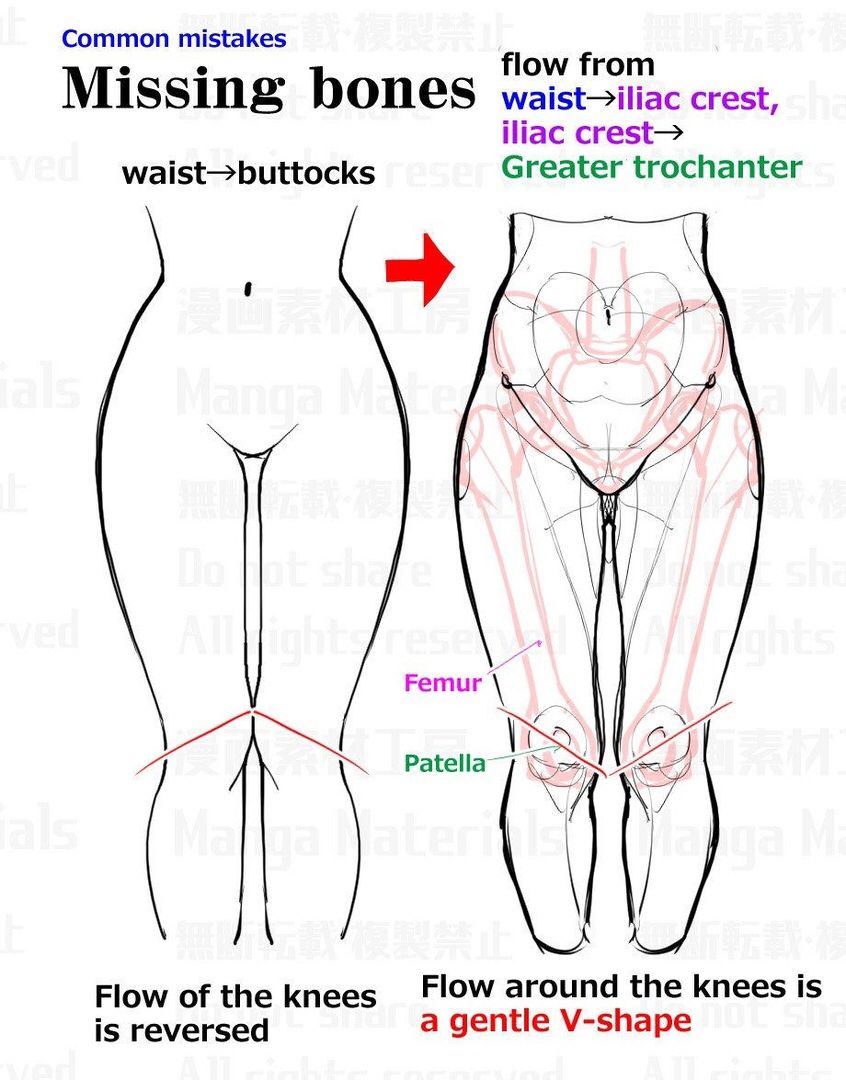 this image is a diagram showing common mistakes people make when drawing the legs. the diagram shows the correct and incorrect placement of the bones in the legs.