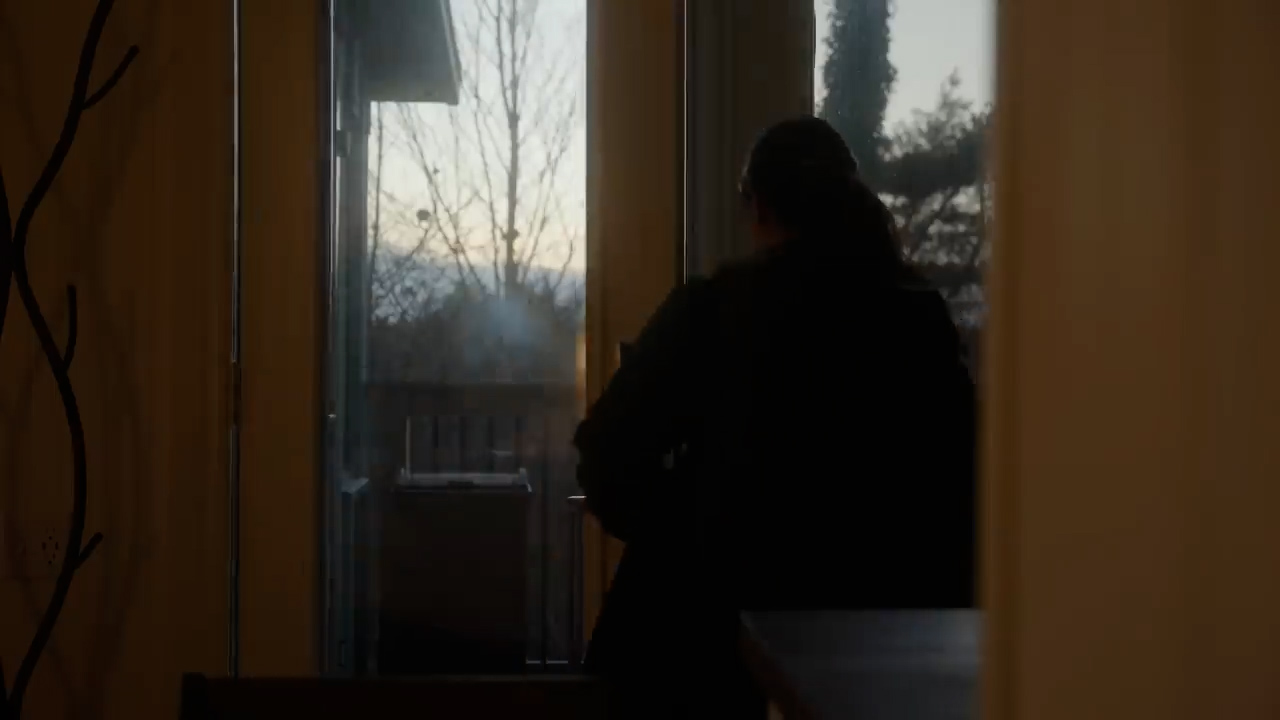 a person with long dark hair, seen from behind as a silhouette, is standing in front of a glass door.  through the door, we can see a balcony, some trees, and in the distance, a sliver of bright sky suggesting either dawn or dusk. the warm light from outside contrasts with the darker interior of the room.